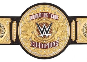 WWE World Tag Team Championship 2024